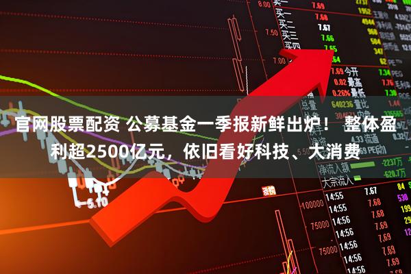 官网股票配资 公募基金一季报新鲜出炉！ 整体盈利超2500亿元，依旧看好科技、大消费